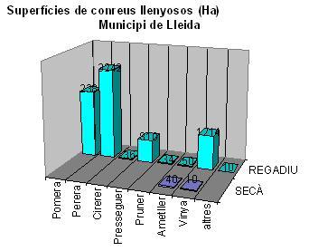 01superficies-de-conreus-llenyosos.jpg