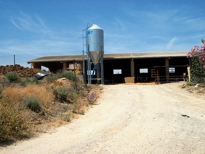 granja-mig-068.jpg
