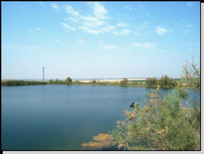 paisatge-horta-bassa1.jpg paisatge-horta-bassa1.jpg