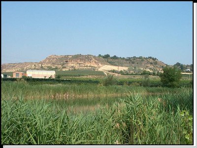 paisatge-horta-turons1.jpg